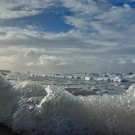 With Seaview Apartment Ostend